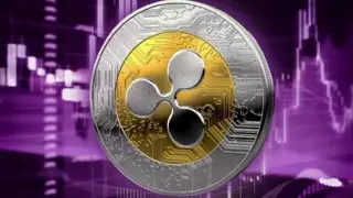 The Rise of XRP in the Institutional Market