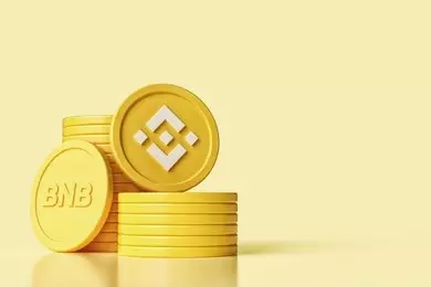 The Resurgence of Binance Coin (BNB): A Promising Outlook