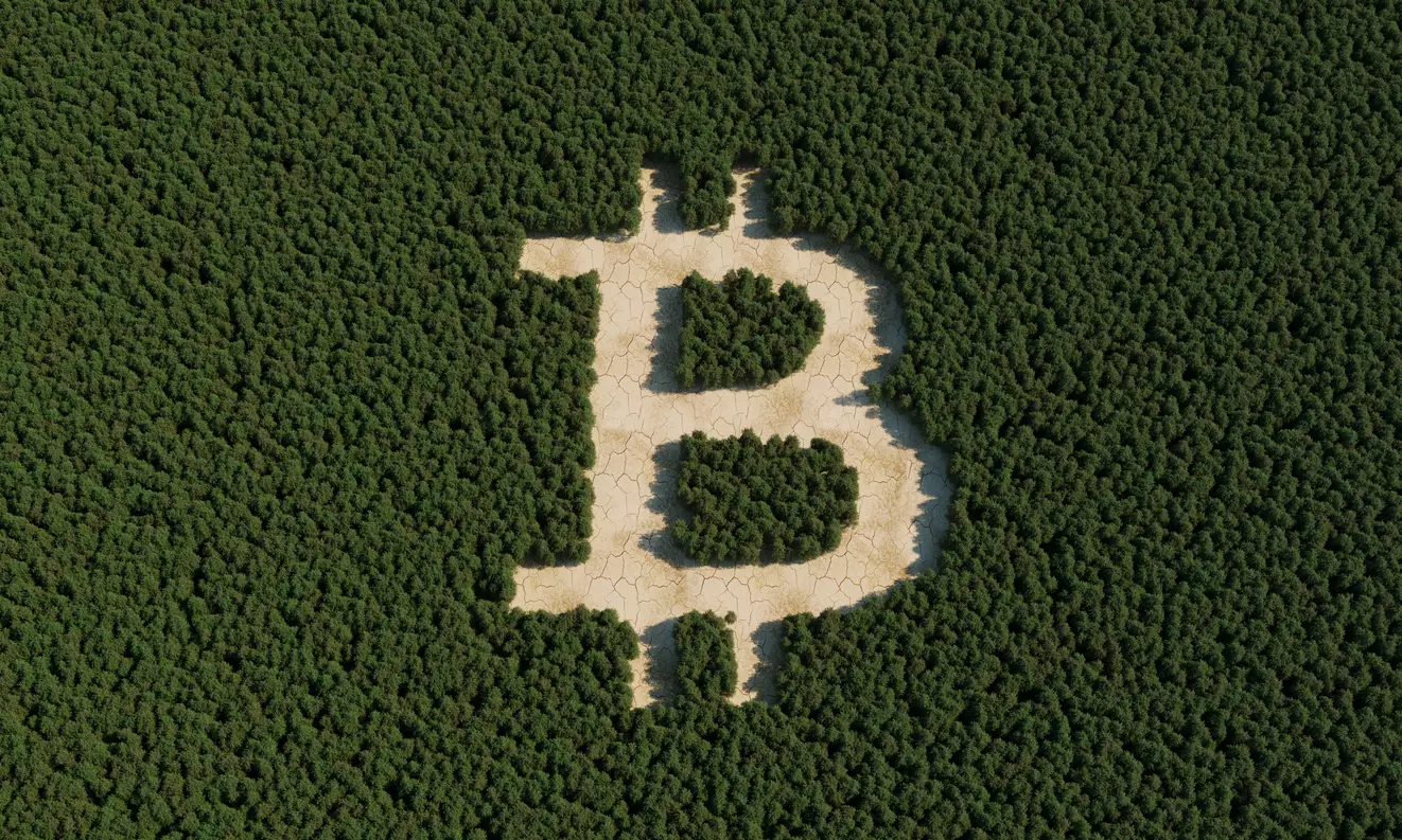 Analyzing the Inflow into Bitcoin and Its Impact on the Cryptocurrency Market