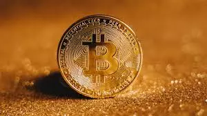 The Enigmatic Bitcoin Whale and its $6 Billion Transactions