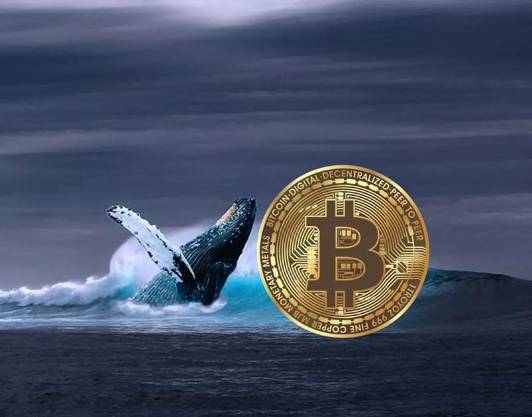 Bitcoin Whales Show Confidence in Accumulation Trend Ahead of Halving Event