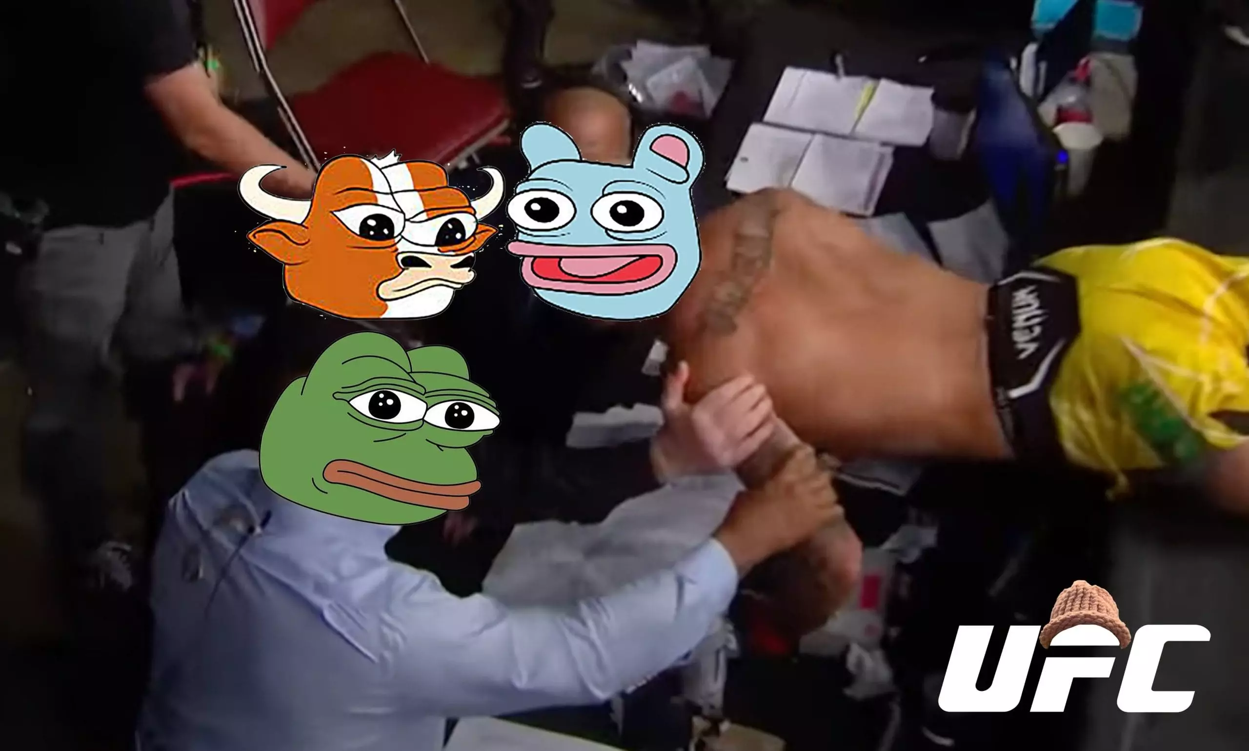 Cryptocurrency Meme Coins: A Critical Analysis of Ultimeme Fighting Championship and Dogeverse