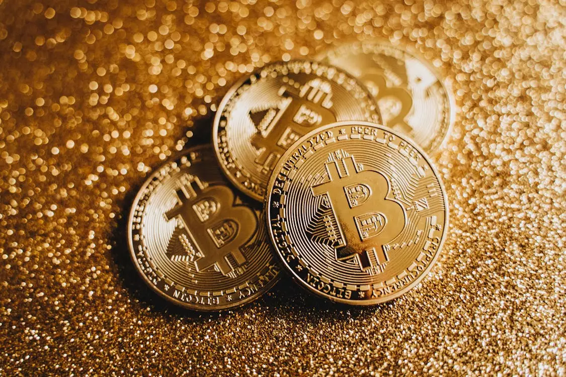 Bitcoin’s Journey Toward a Digital Standard: Prospects and Challenges