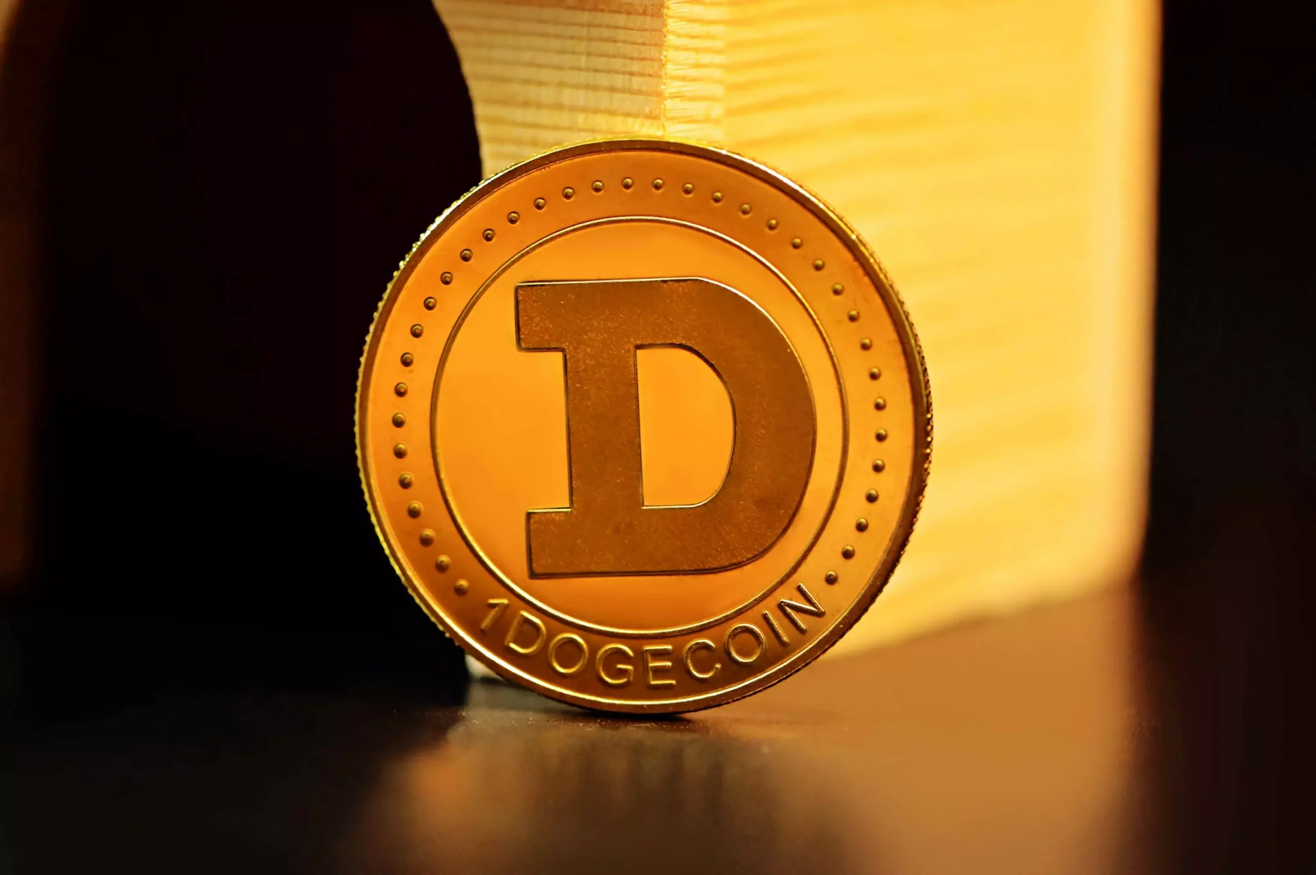 Journey of Growth: From Humble Beginnings to Cryptocurrency Enthusiast