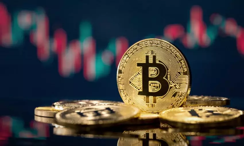 The Multifaceted Journey of Semilore Faleti: Bridging Cryptocurrency and Social Justice