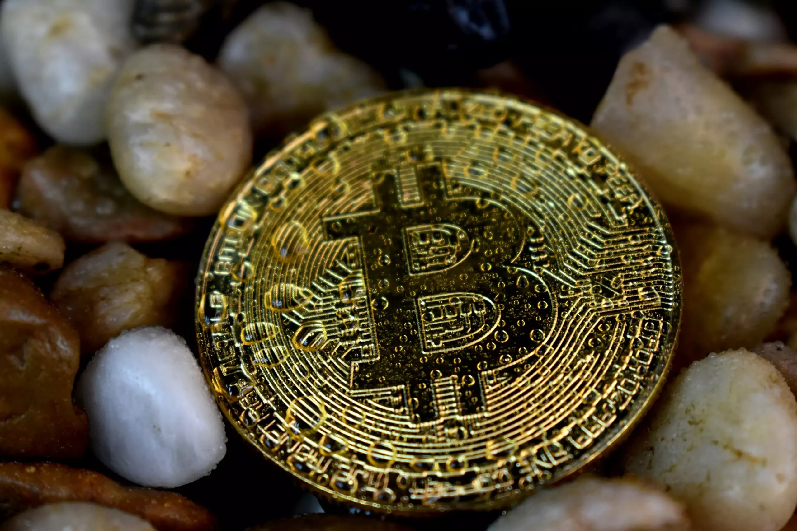 The Resilience of Bitcoin: Analyzing the Recent Market Dynamics