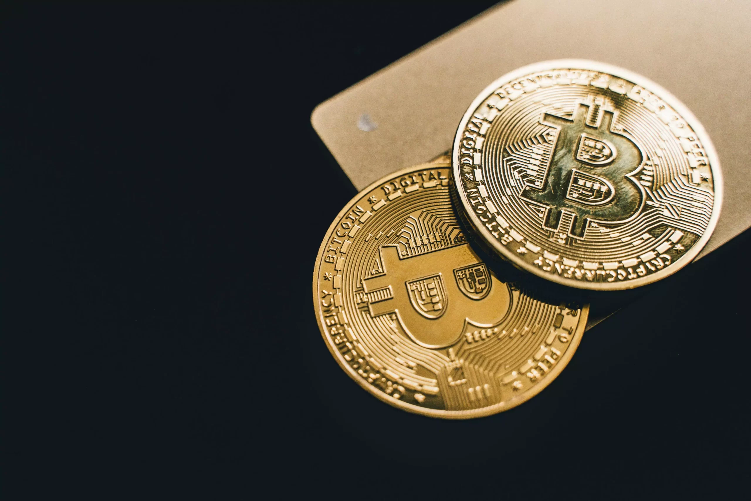 The Resilience of Bitcoin’s Long-Term Holders Amid Market Turbulence